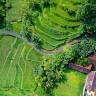 indonesia